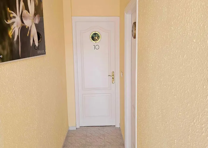 Marazul By Fitzgeralds * Нерха